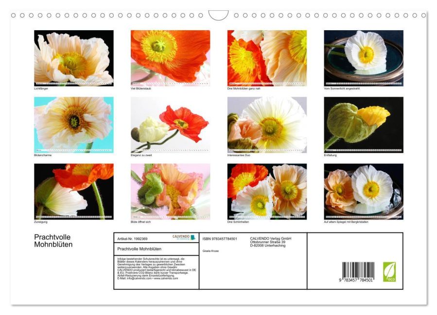 additionalImage5