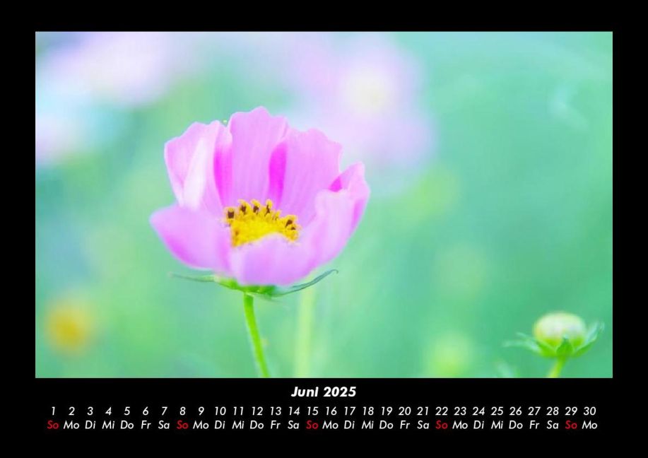 additionalImage10