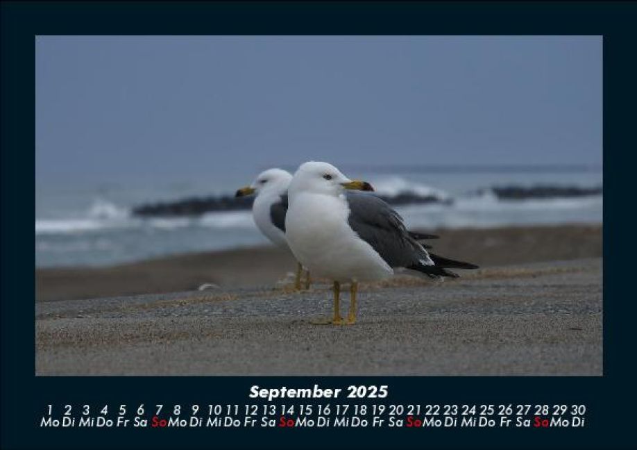 additionalImage1