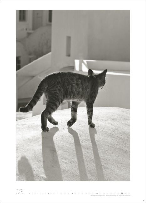 additionalImage3