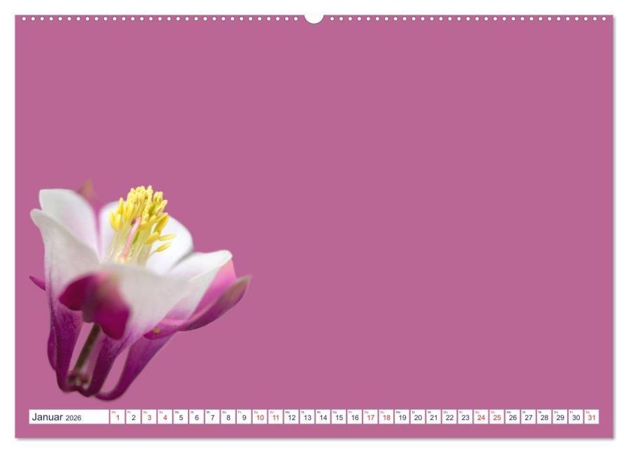 additionalImage5