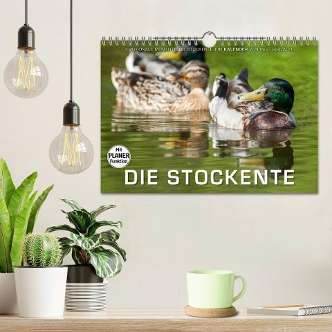 additionalImage1