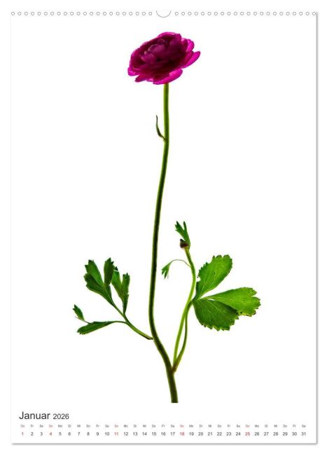 additionalImage6