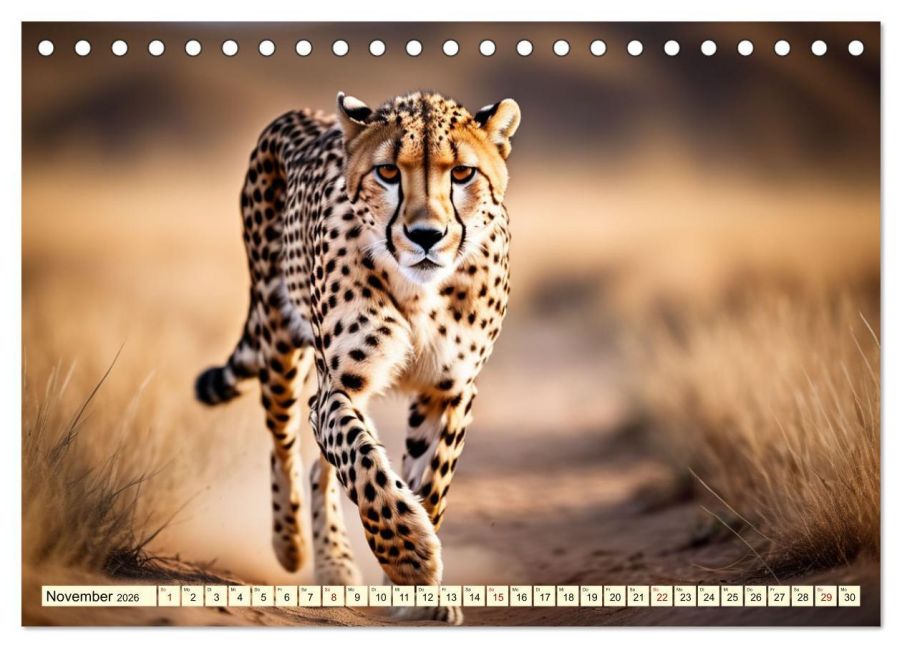 additionalImage3