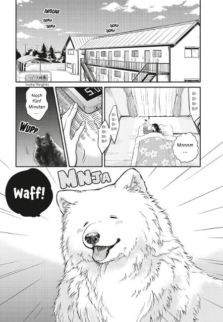 additionalImage6