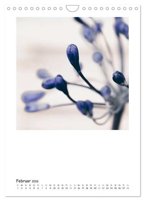 additionalImage7