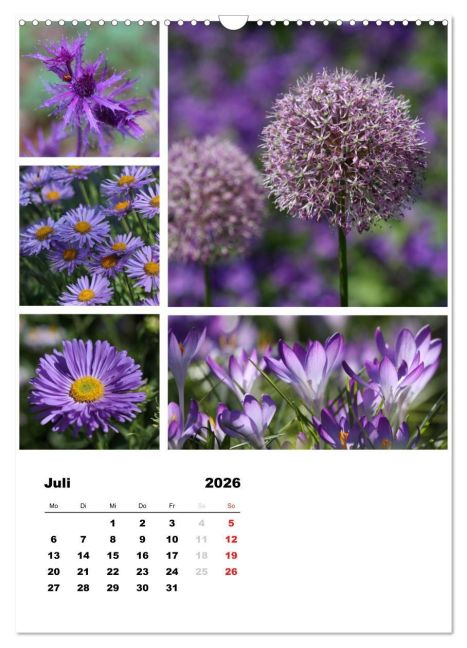 additionalImage12