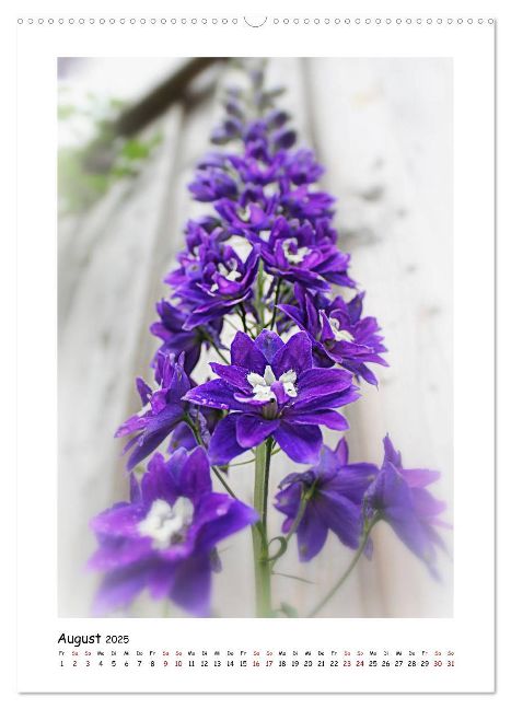additionalImage12