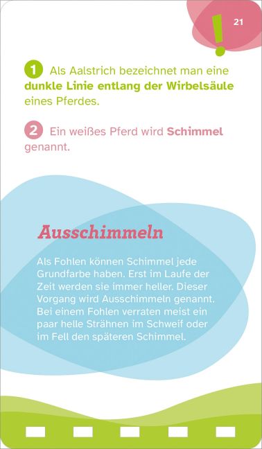 additionalImage5