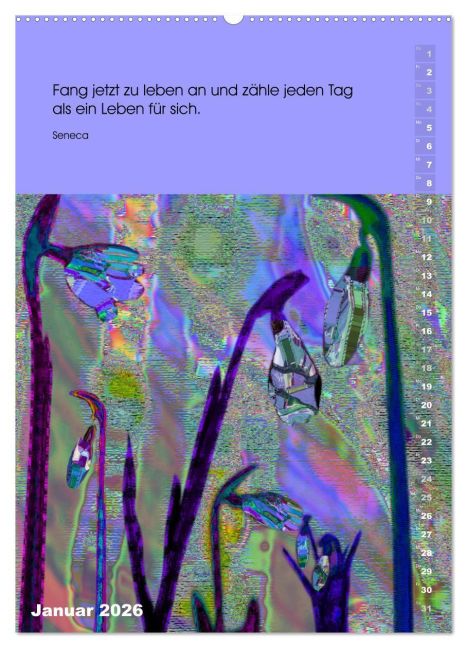 additionalImage5