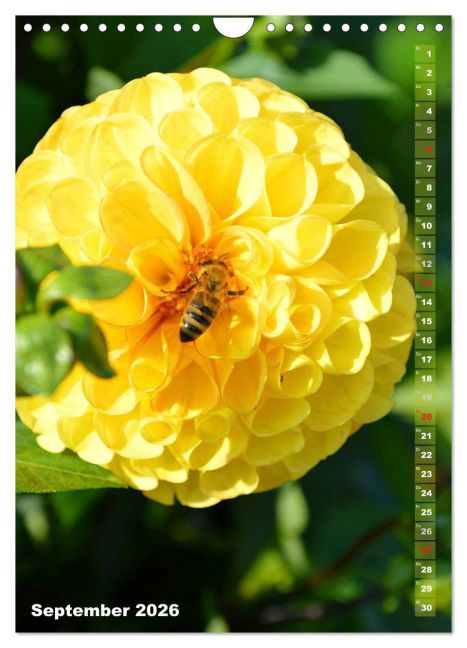 additionalImage14
