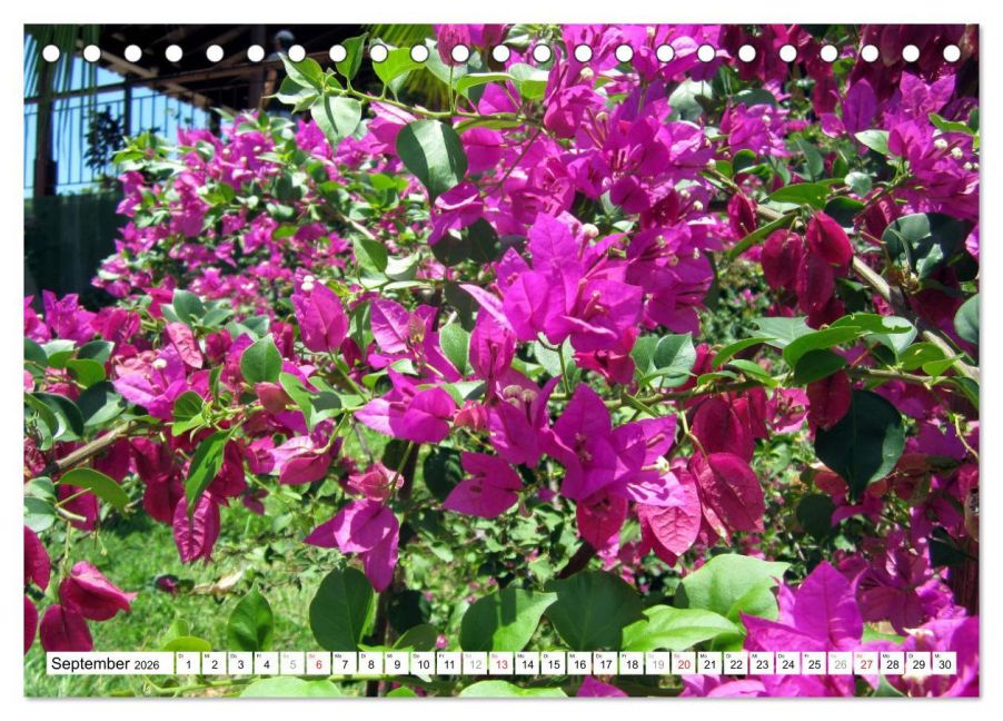 additionalImage14