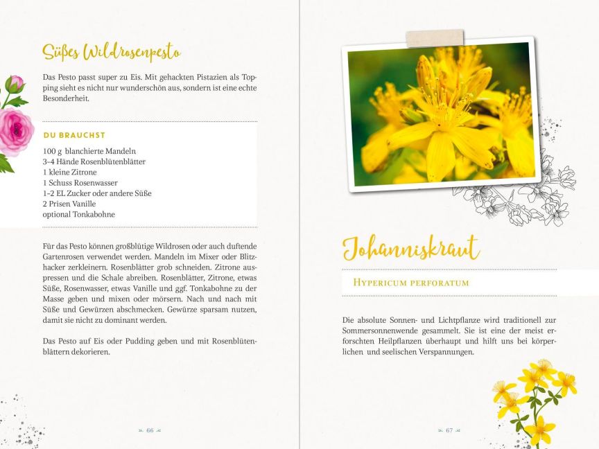 additionalImage6