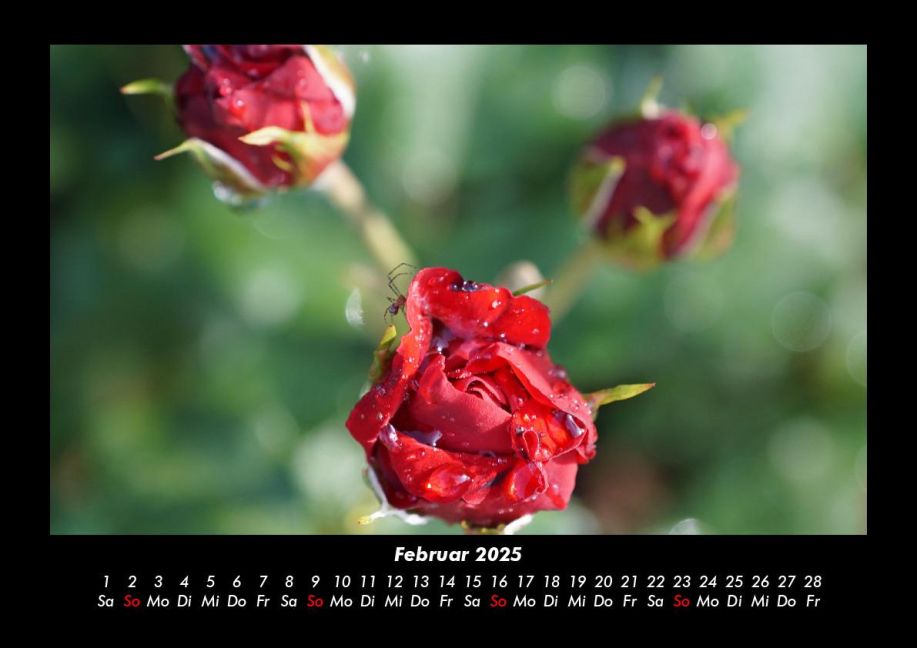 additionalImage6