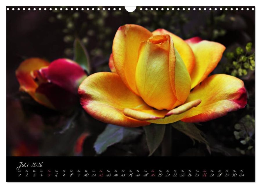 additionalImage12