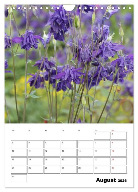 additionalImage13