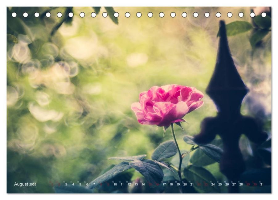 additionalImage13