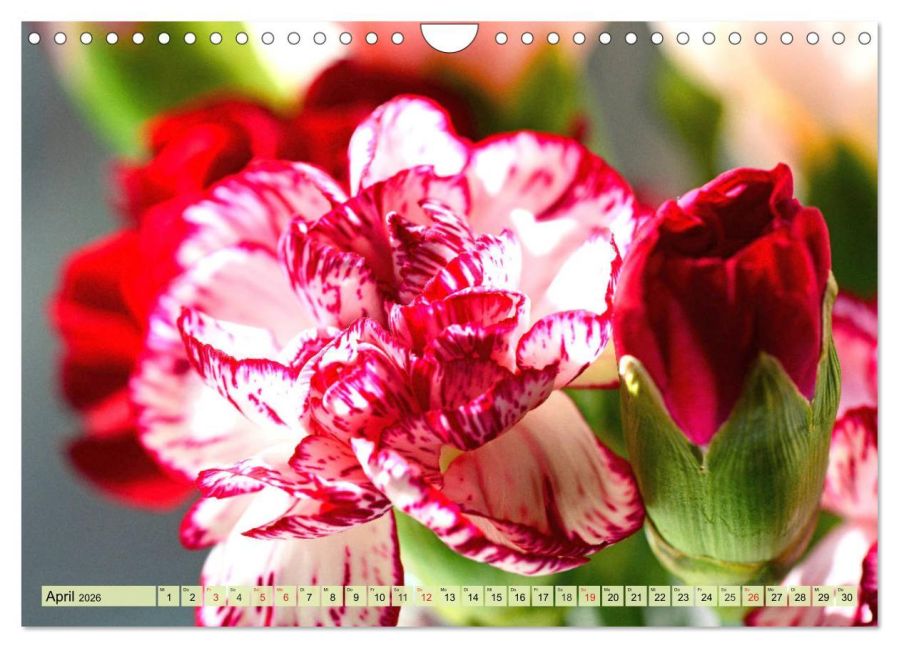 additionalImage9