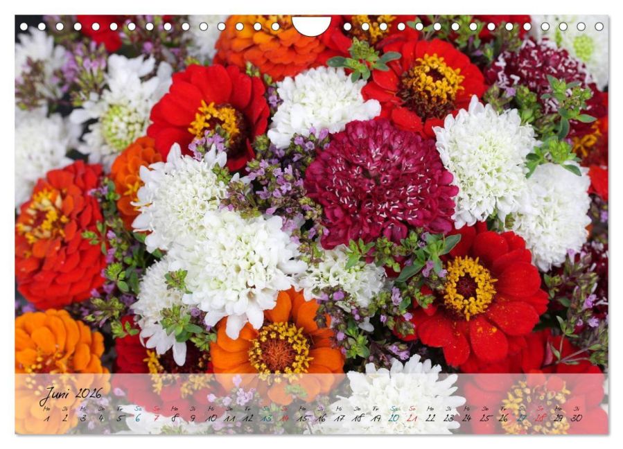 additionalImage11