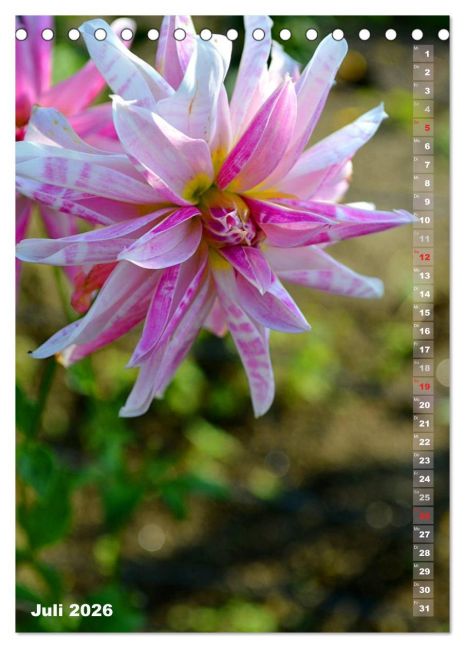 additionalImage12