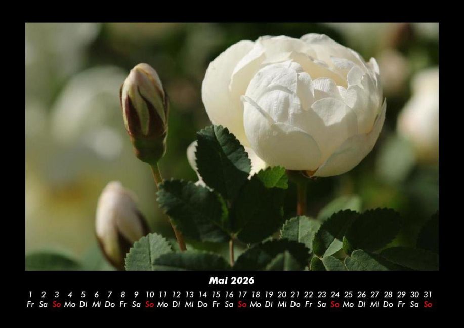 additionalImage9