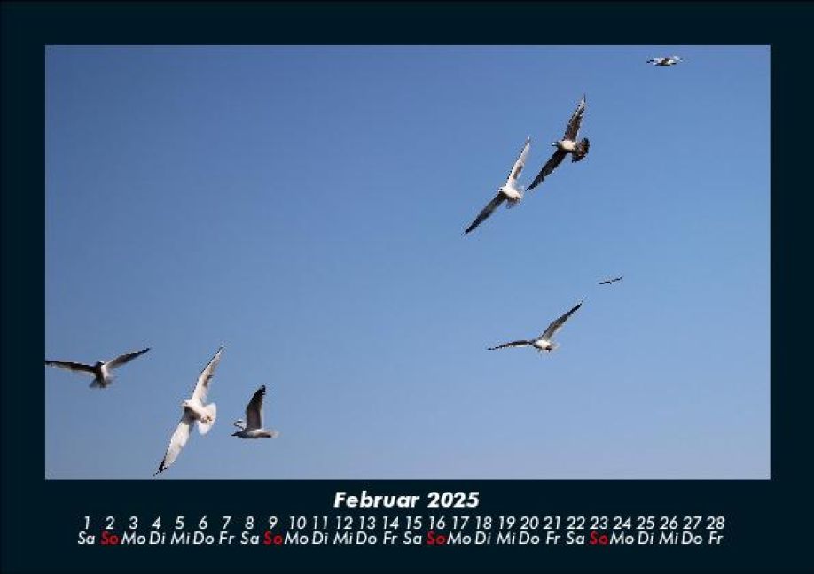 additionalImage6