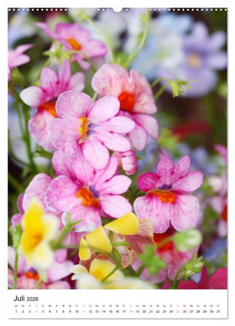 additionalImage11