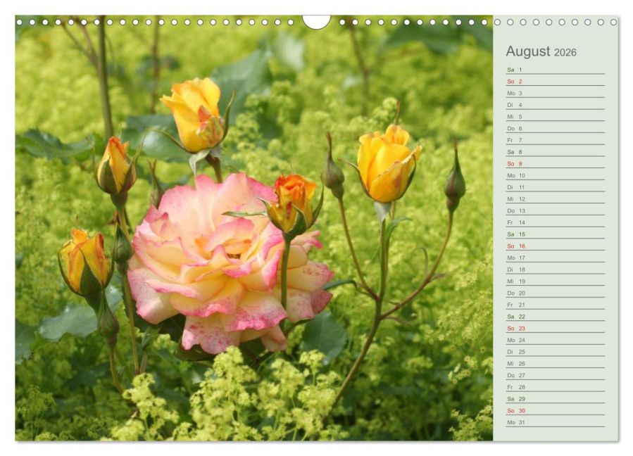 additionalImage13