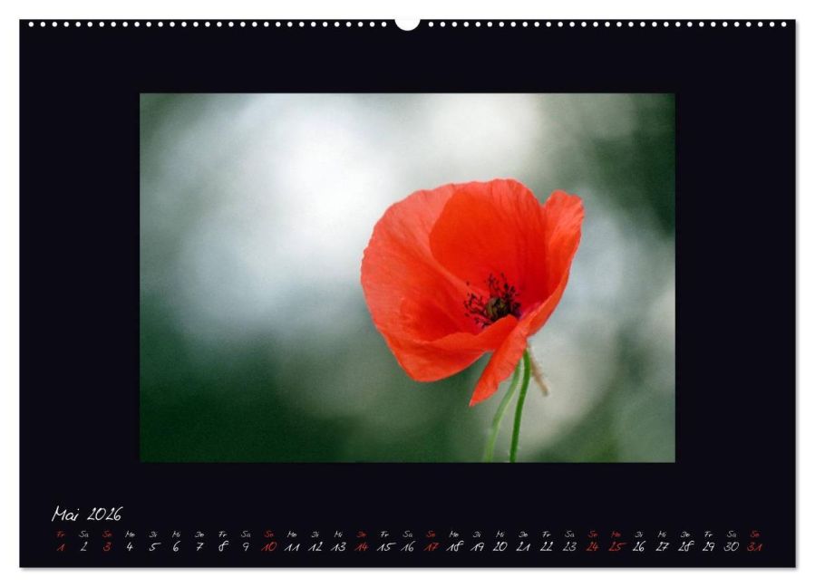 additionalImage10
