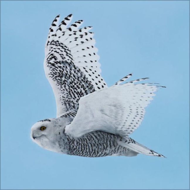 additionalImage12
