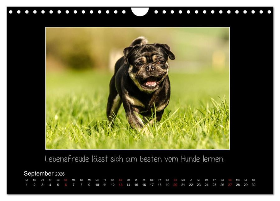additionalImage14