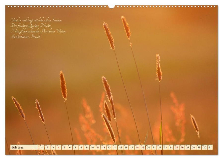 additionalImage12