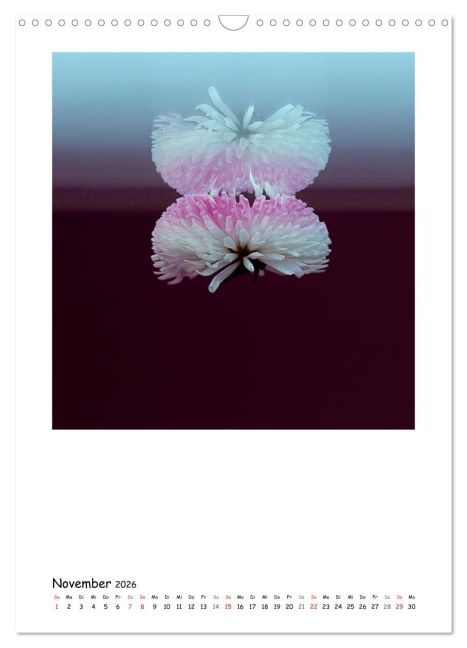 additionalImage3