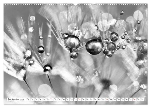 additionalImage14