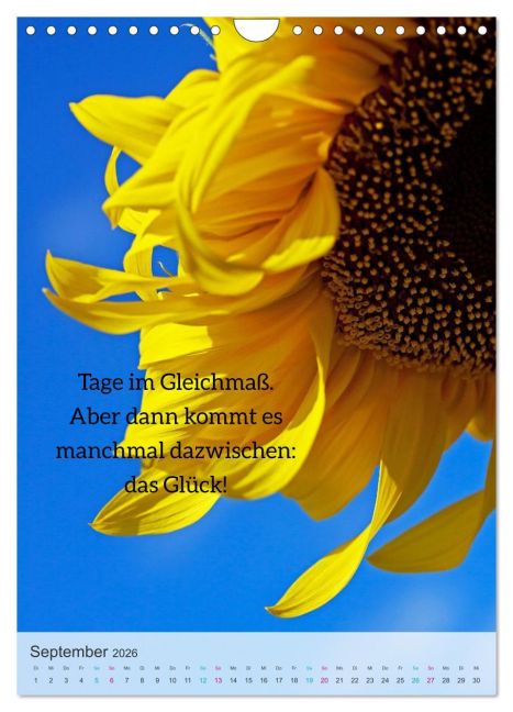 additionalImage14
