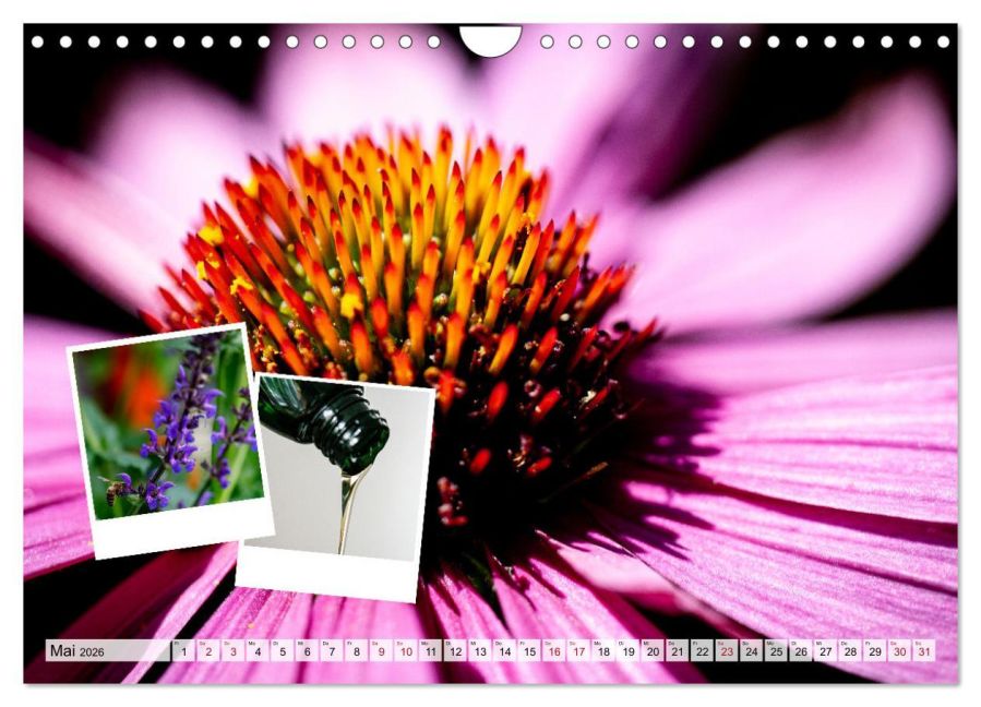 additionalImage10