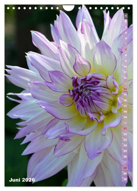 additionalImage11