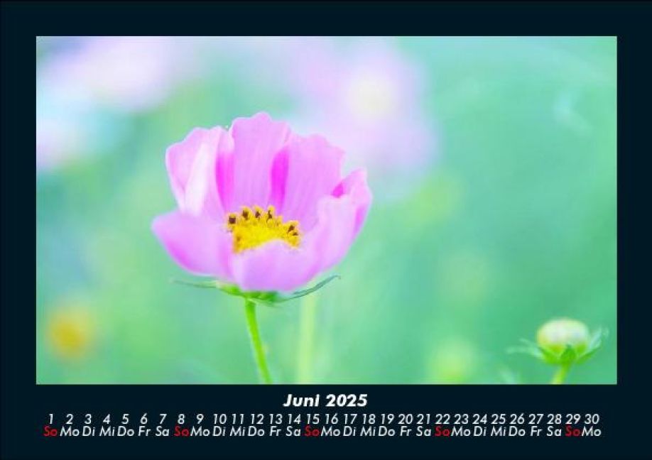 additionalImage10