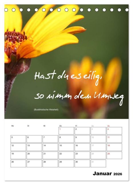 additionalImage6