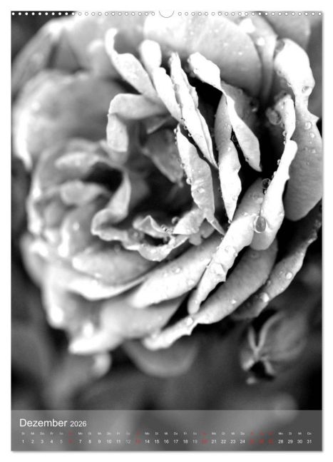 additionalImage3