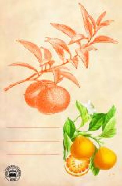 additionalImage3