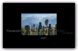 additionalImage11