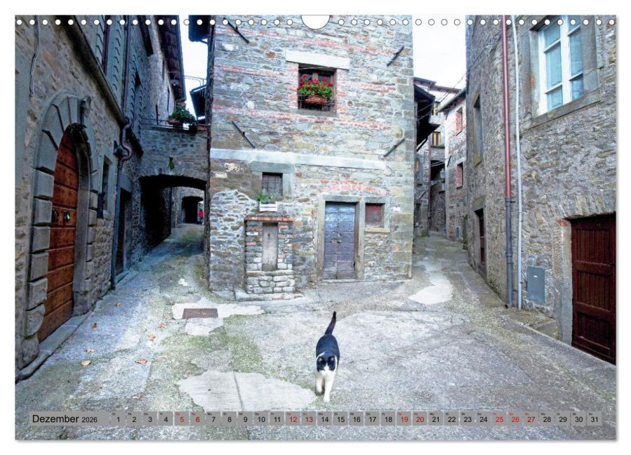 additionalImage4