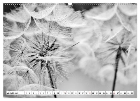additionalImage6