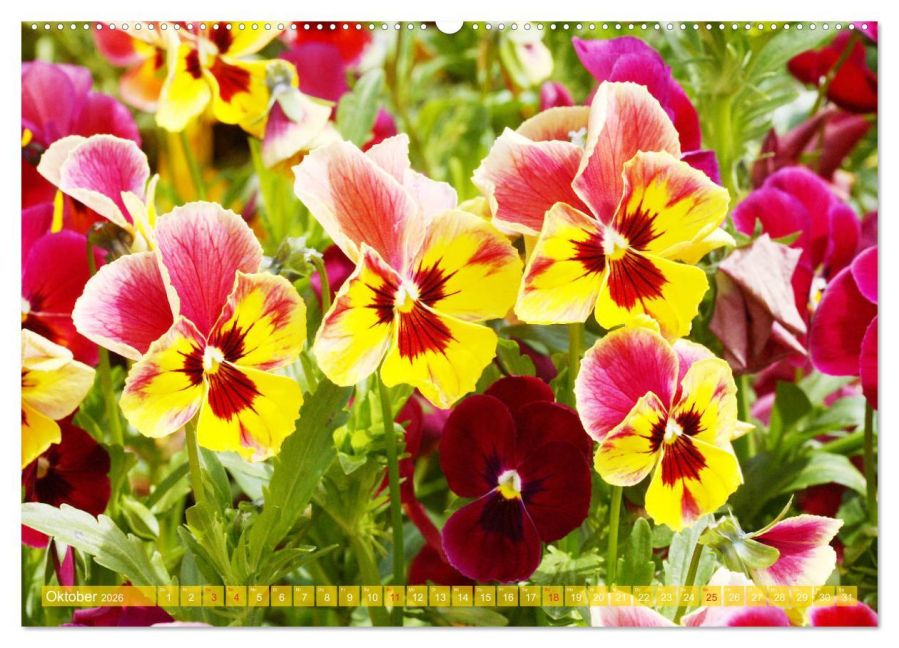 additionalImage1