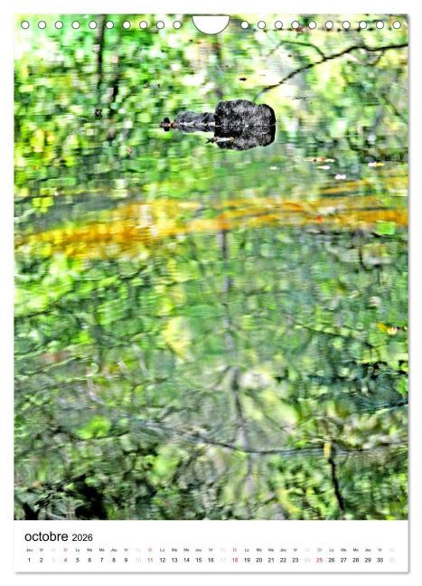 additionalImage2