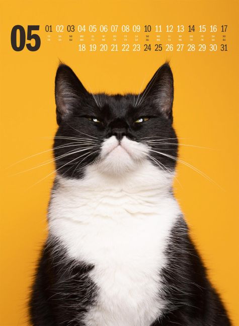 additionalImage5