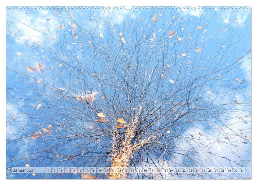 additionalImage6
