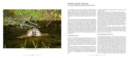 additionalImage1