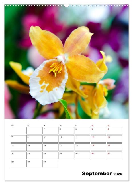 additionalImage13